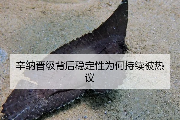 xin-na-jin-ji-bei-hou-wen-ding-xing-wei-he-chi-xu-bei-re-yi-2-864.jpg
